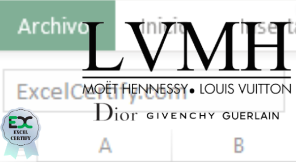 Luis Vuitton