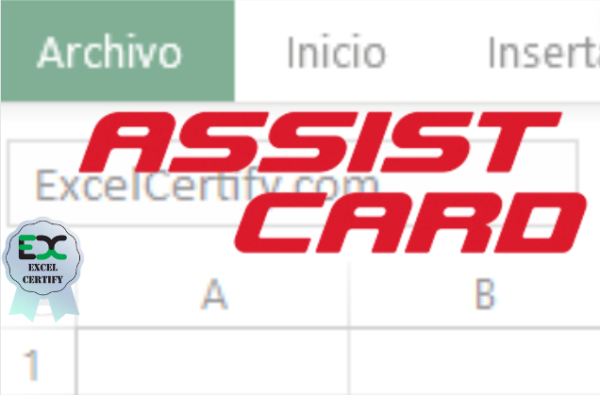 Assist Card Excelcertify