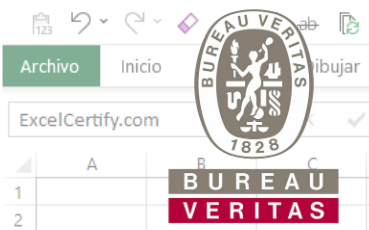 Bureau Vertitas | Experto en Excel Profesional para Empresas