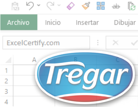 Curso de Excel Profesional | TREGAR | TAGH01