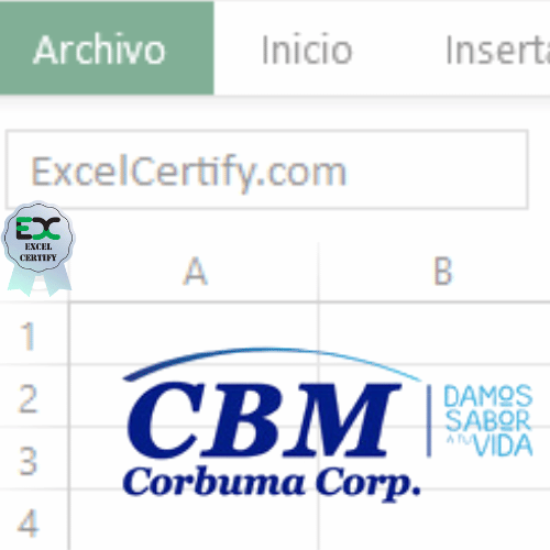 Protegido: Curso de Excel Profesional | Corbuma Corp | TALP01