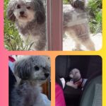 Silvana Gabriela Paredez