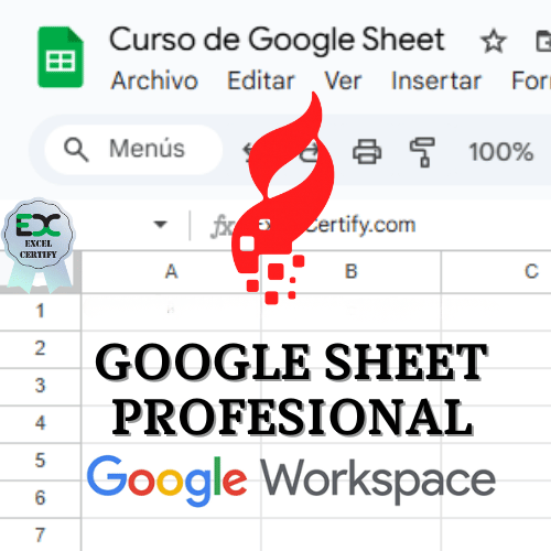 Certificación Google Sheet Profesional – (de Básico a Avanzado) – IGNIS